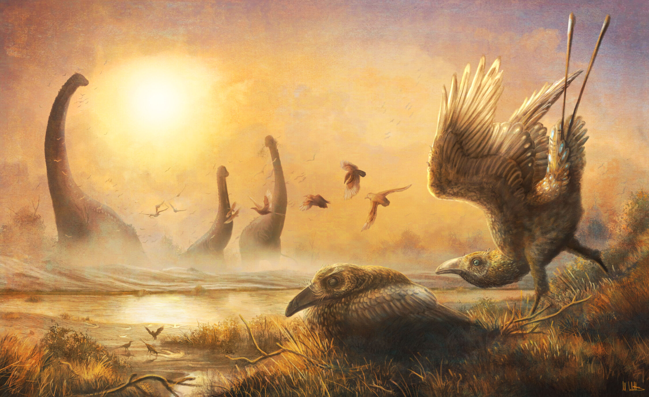 Early Bird With Tall Sickle Shaped Beak Reveals Hidden Diversity During The Age Of Dinosaurs